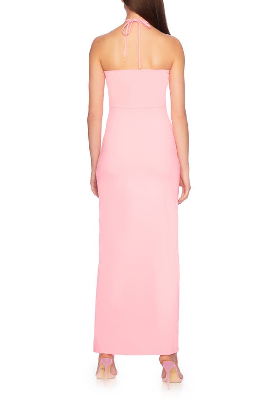 Shop Susana Monaco Ring Front Halter Maxi Dress In Knockout Pink