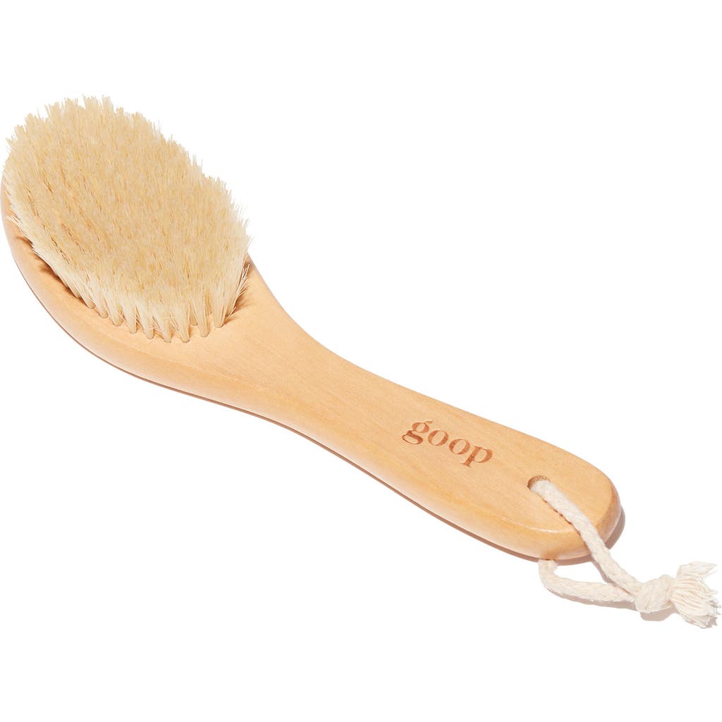 Goop Ultimate Dry Brush In No Color