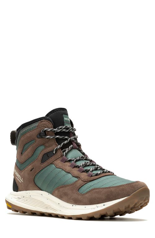 Nova 3 Thermo Waterproof Hiking Shoe in Forest