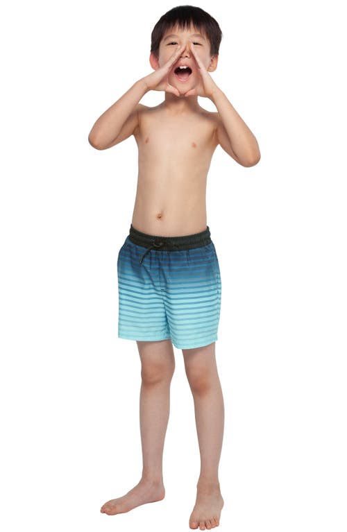 Rokka&rolla Kids' Compression Liner Swim Trunks Upf 50+ In Blue Stripe