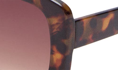 Shop Mango Square Sunglasses In Chocolate