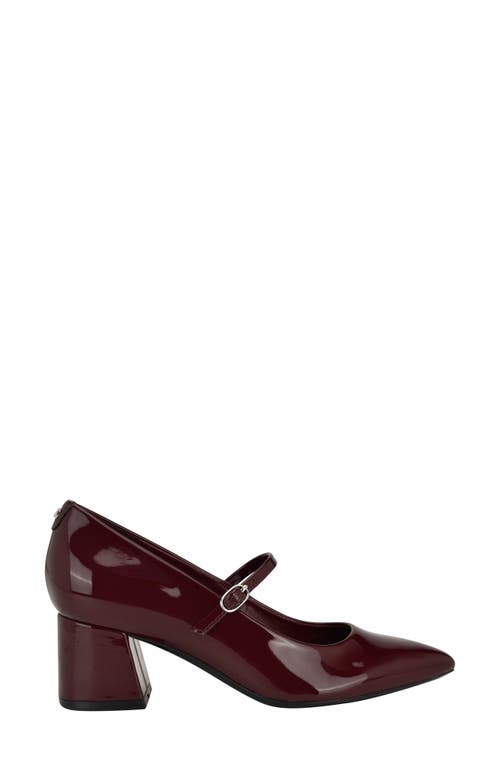 Shop Calvin Klein Leora Pointed Toe Mary Jane Pump In Burgundy