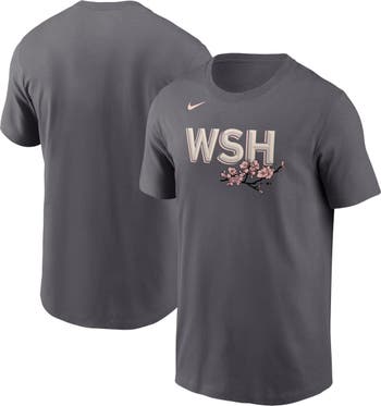 Washington Nationals Nike 2022 City Connect Wordmark T-Shirt