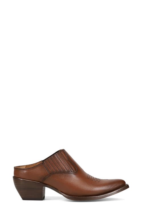 Frye Sacha Pointed Toe Mule In Spice
