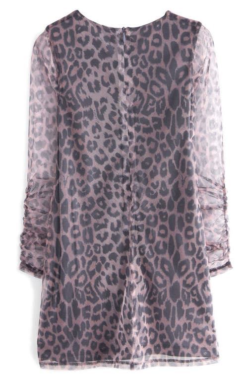 Shop Allsaints Sm By  Leopard Print Long Sleeve Mesh Minidress In Brown