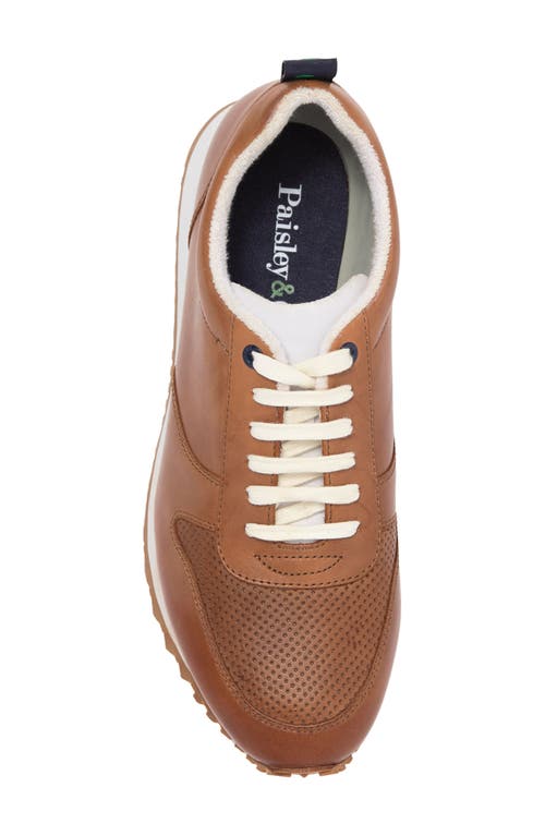 Shop Paisley & Gray Paisley And Gray Newham Low Pro Sneaker In Tan/tan