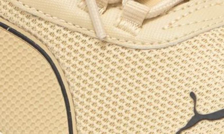 Puma Amplifier Sneaker In Toasted Almond-warm White