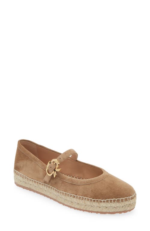 Gianvito Rossi Suede Mary Jane Ballerina Espadrilles In Camel