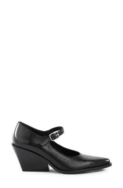 SEYCHELLES SEYCHELLES SPARKS POINTED TOE MARY JANE PUMP
