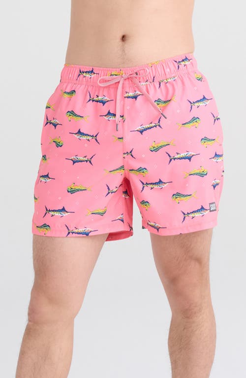 SAXX Oh Buoy Stripe 2-in-1 Hybrid Shorts Trophy Catch- Flamingo at Nordstrom,