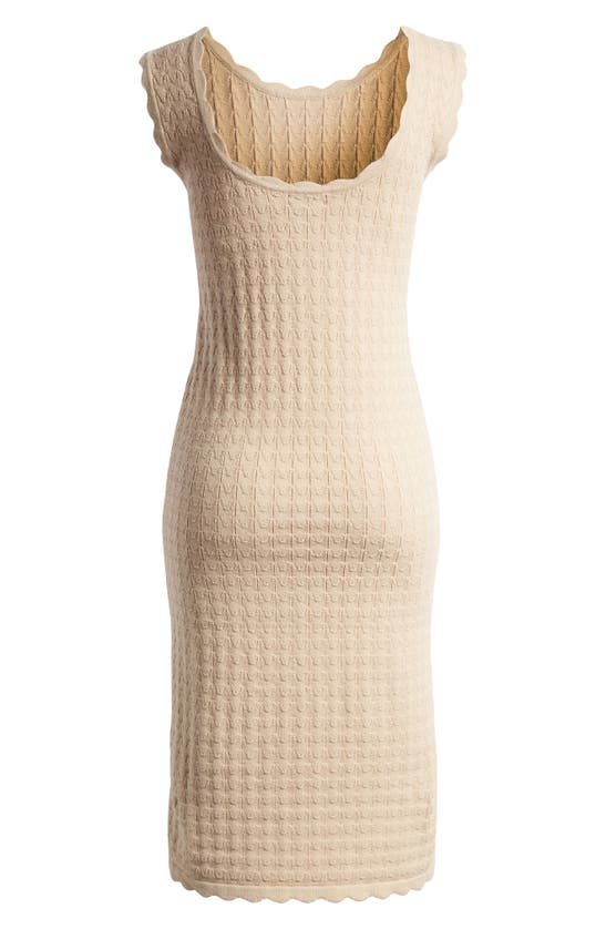Shop Halogen (r) Sleeveless Knit Dress In Oxford Brown