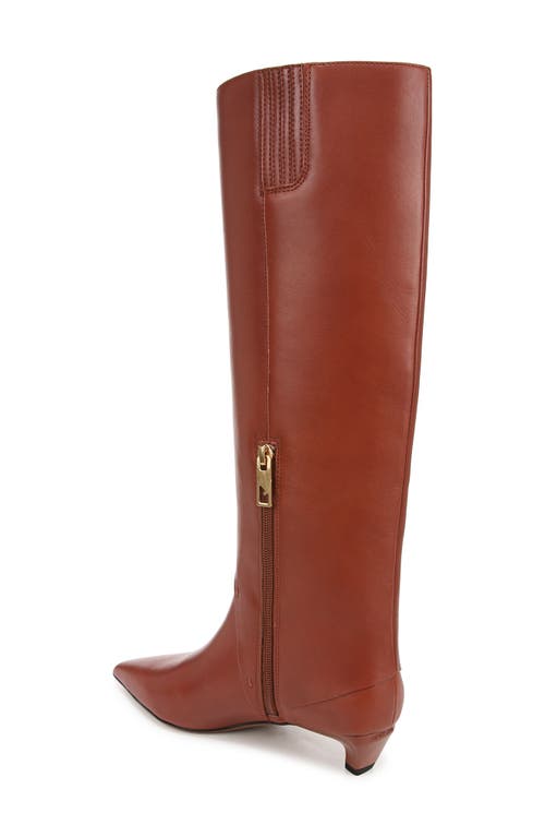 Shop Franco Sarto Martin Pointed Toe Knee High Boot In Brown