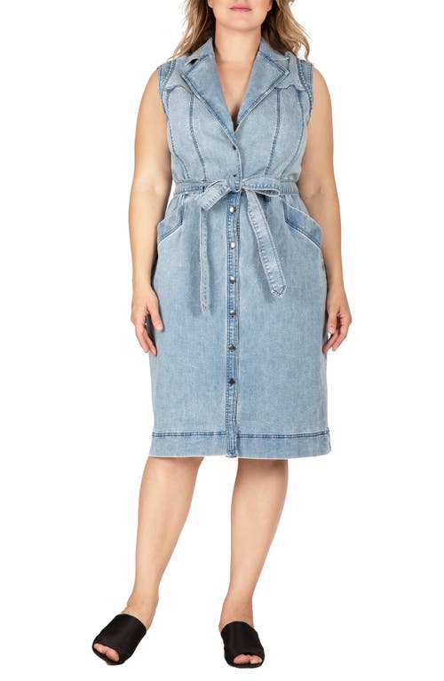 Standards & Practices Sleeveless Tie Waist Denim Dress Bluestone at Nordstrom,