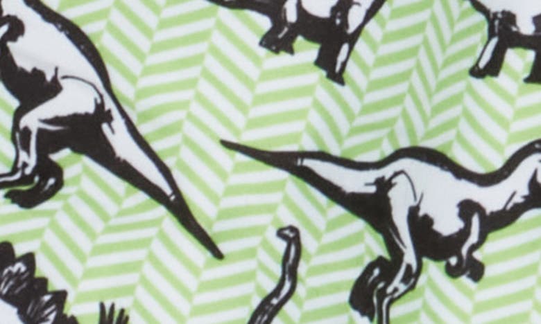 Shop Beach Bros Kids' Chevron Dinosaur Print Swim Trunks In Green