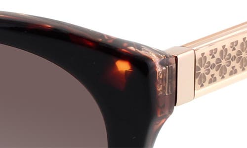 Kate Spade New York Phillipa 54mm Gradient Cat Eye Sunglasses In Havana/beige/brown