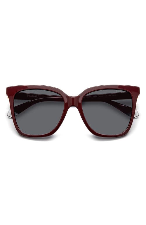 Shop Polaroid 55mm Polarized Square Sunglasses In Burgundy/gray Polarized