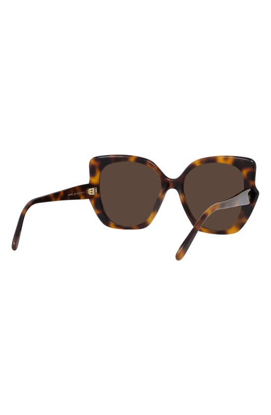 Loewe Thin 55mm Geometric Sunglasses In Dark Havana / Brown