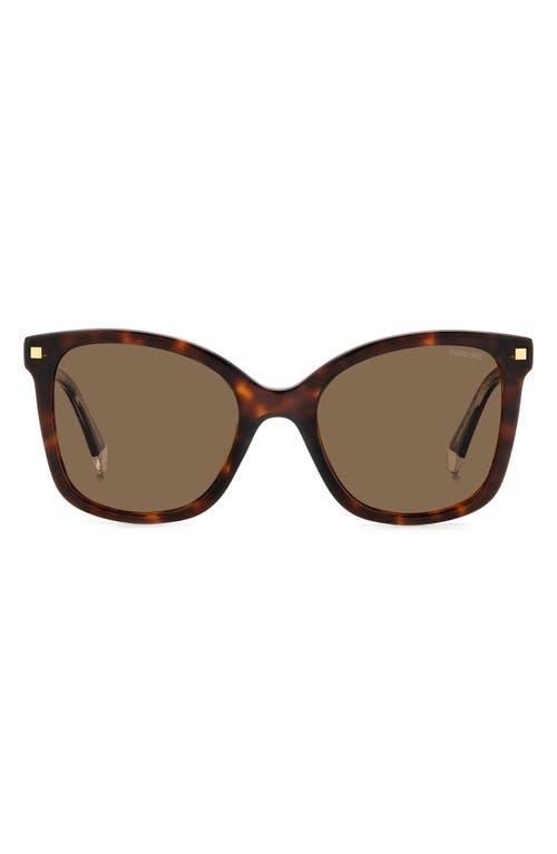 Shop Polaroid 53mm Polarized Square Sunglasses In Havana/bronze Polar