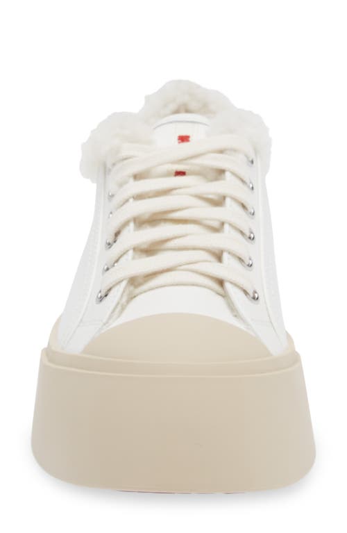 Shop Marni Pablo Genuine Shearling Lined Low Top Sneaker In White Combo