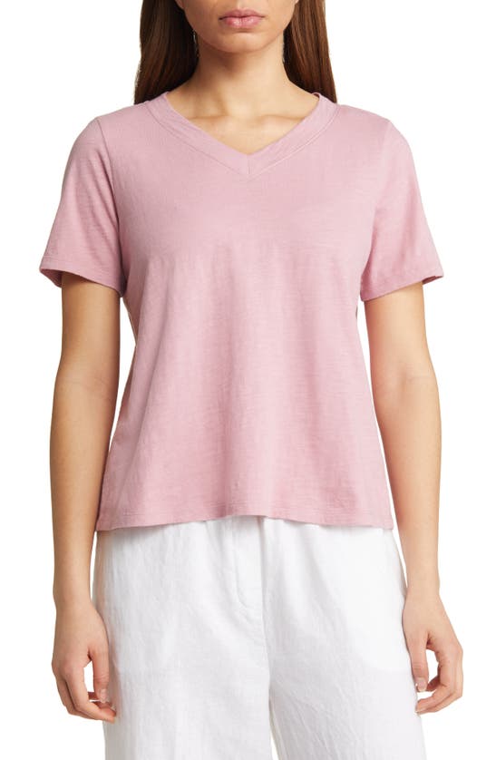 Eileen Fisher Organic Cotton V-neck T-shirt In Pink