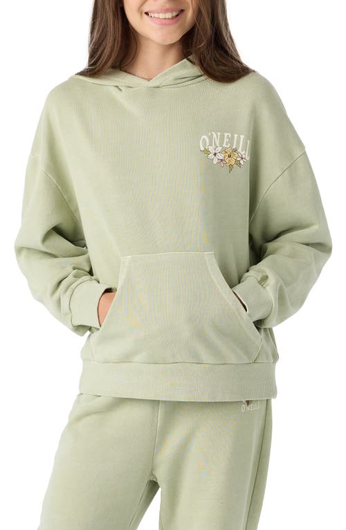 O'Neill Kids' Asher Graphic Hoodie in Desert Sage 