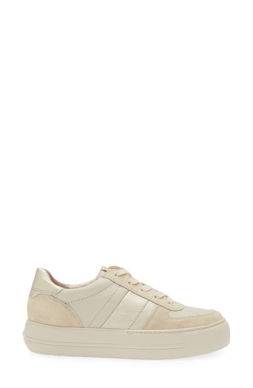 Shop Paul Green Unity Platform Sneaker In Sand Biscuit Combo