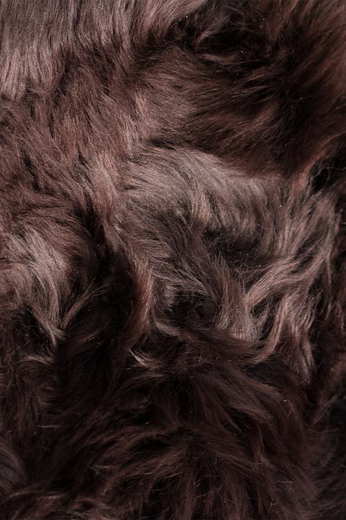 Natural New Zealand Genuine Sheepskin Rug In Chocolate