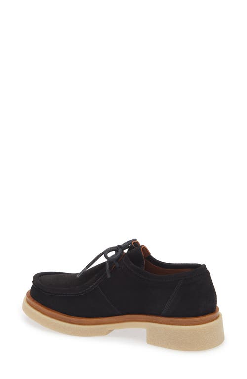 Cordani Maya Chukka Derby In Camoscio Nero