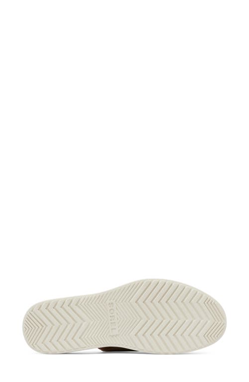 Sorel Dayspring Platform Slide Sandal In Honest Beige/chalk