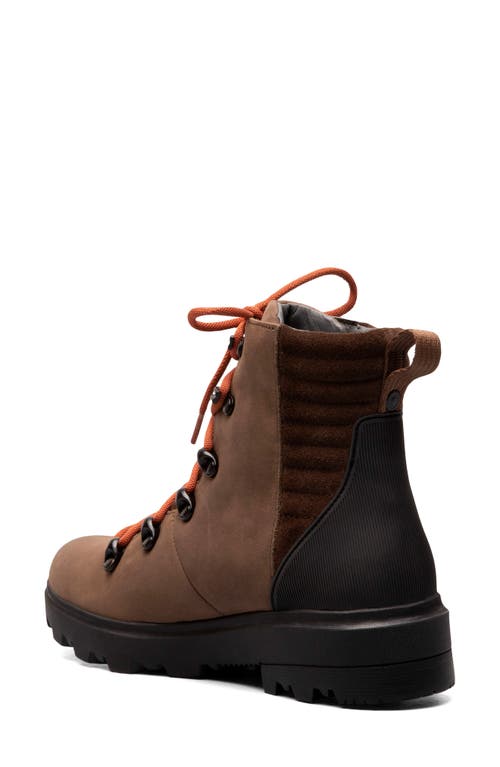 Shop Bogs Holly Waterproof Lace-up Boot In Brown