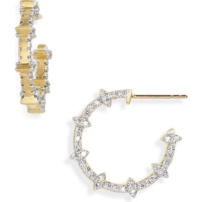 Freida Rothman Fleur Bloom Empire Hoop Earrings