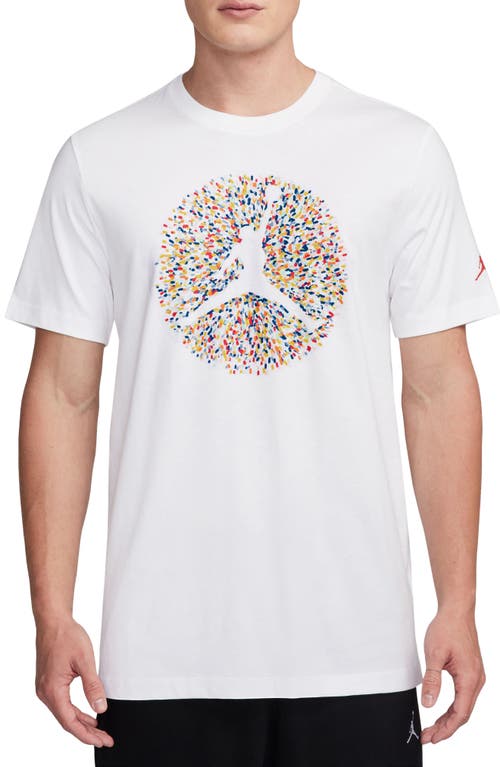 Jordan Pointillism Jumpman Graphic T-Shirt at Nordstrom,