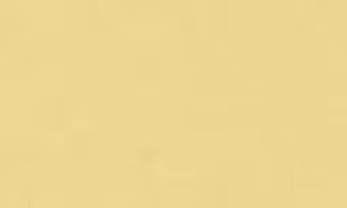 Spectrum Brush Club Base Brush Duo Makeup Brush In Yellow