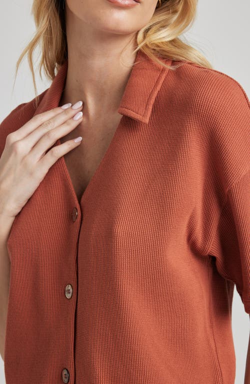 LOSANO LOSANO ORGANIC COTTON BUTTON DOWN SHIRT