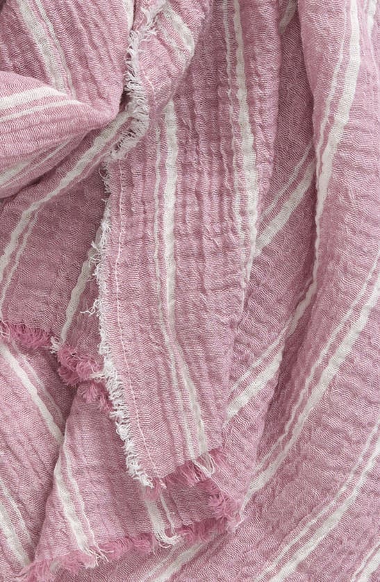 Shop Nordstrom Stripe Cotton Scarf In Purple Combo