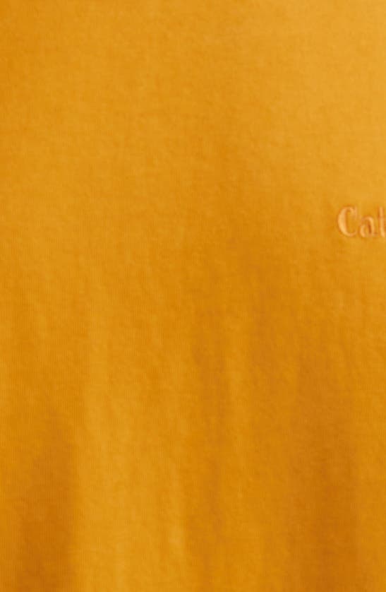 Shop Cat Wwr Colorblock T-shirt In Brown Multi