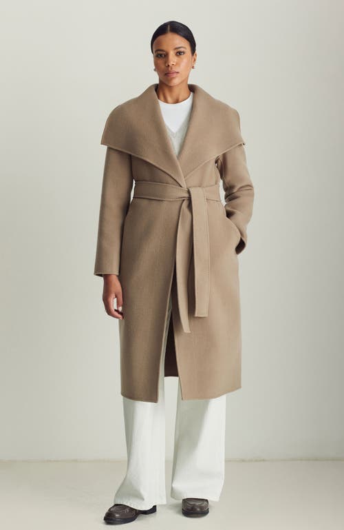 Dawn Levy Gisele Belted Coat In Hazelnut