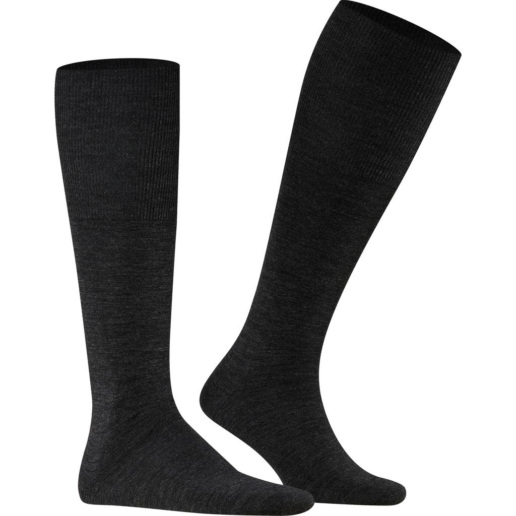 Shop Falke Airport Knee High Socks In Anthracite
