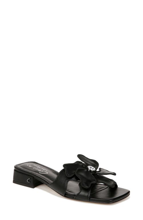 Circus NY by Sam Edelman Jolie Sandal Black at Nordstrom,