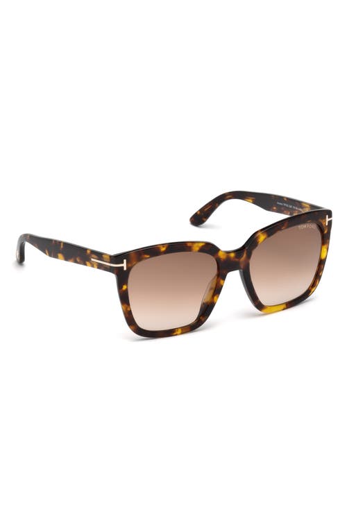 Tom Ford Amarra 55mm Gradient Lens Square Sunglasses In Havana/gradient Brown