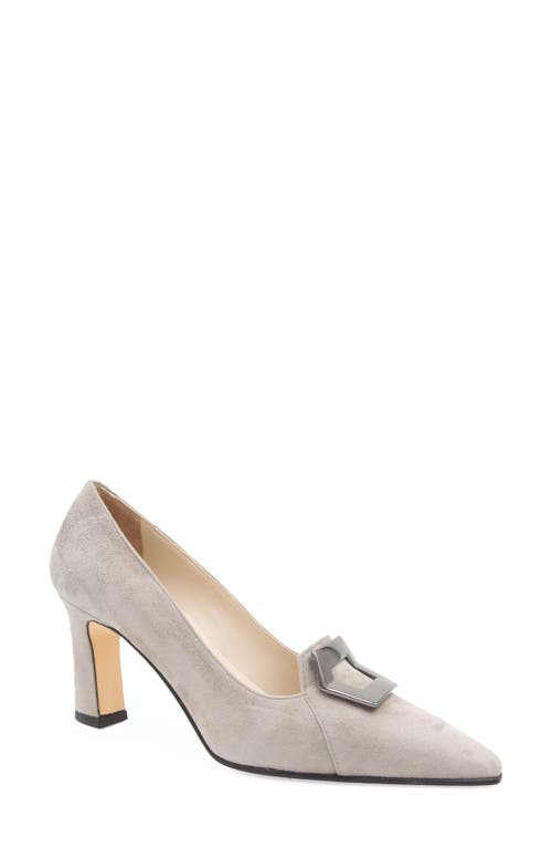 Amalfi by Rangoni Istrice Pointed Toe Pump Cashmere at Nordstrom,