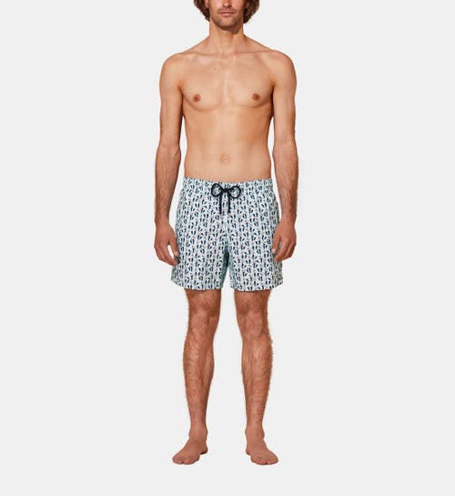 Shop Vilebrequin Cocorico ! Swim Trunks In Thalassa