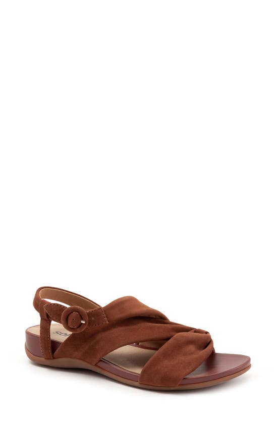 Shop Softwalk ® Tieli Sandal In Brown Toffee