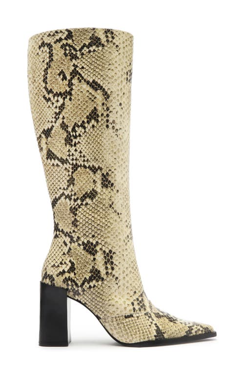 Shop Schutz Raffaela Up Block Pointed Toe Knee High Boot In Animal Print