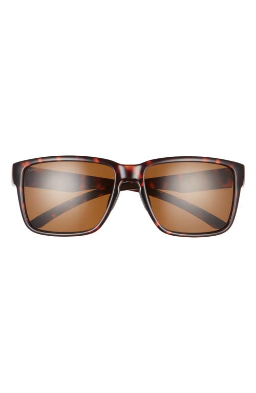 Emerge 60mm ChromaPop Polarized Rectangular Sunglasses in Tortoise/Polarized Brown