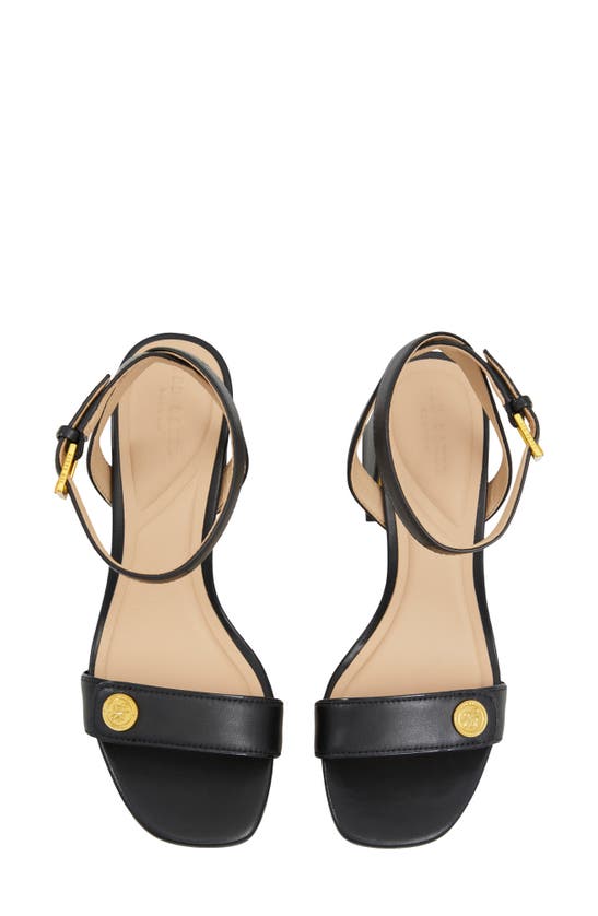 Shop Ted Baker Milly Icon Ankle Strap Sandal In Black