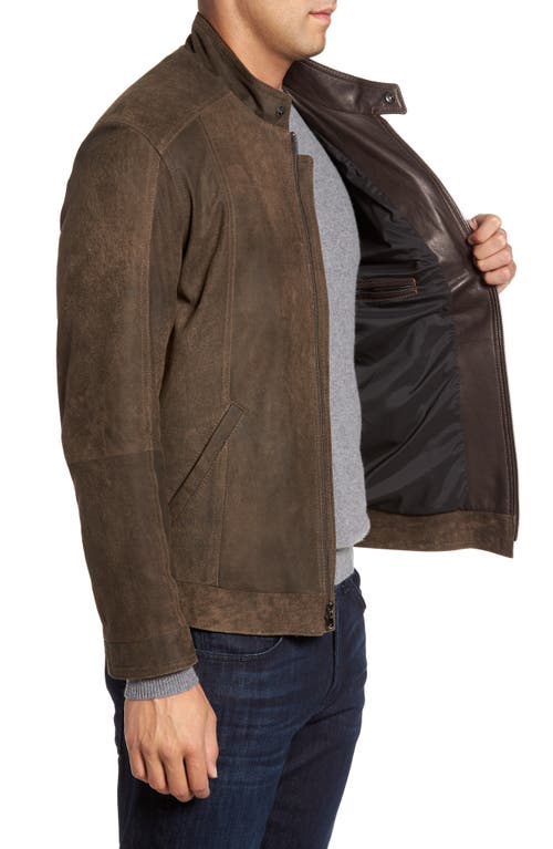 Shop Remy Leather Suede Moto Jacket In Frontier/cocoa