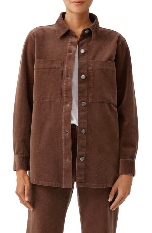 Eileen Fisher Classic Collar Organic Cotton Stretch Corduroy Shirt Jacket in Auburn at Nordstrom, Size X-Large