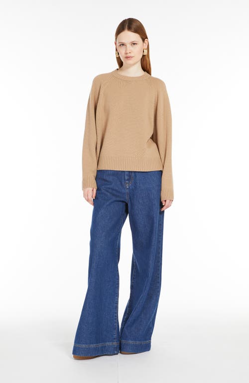 Shop Max Mara Weekend  Gabbia Virgin Wool Crewneck Sweater In Camel