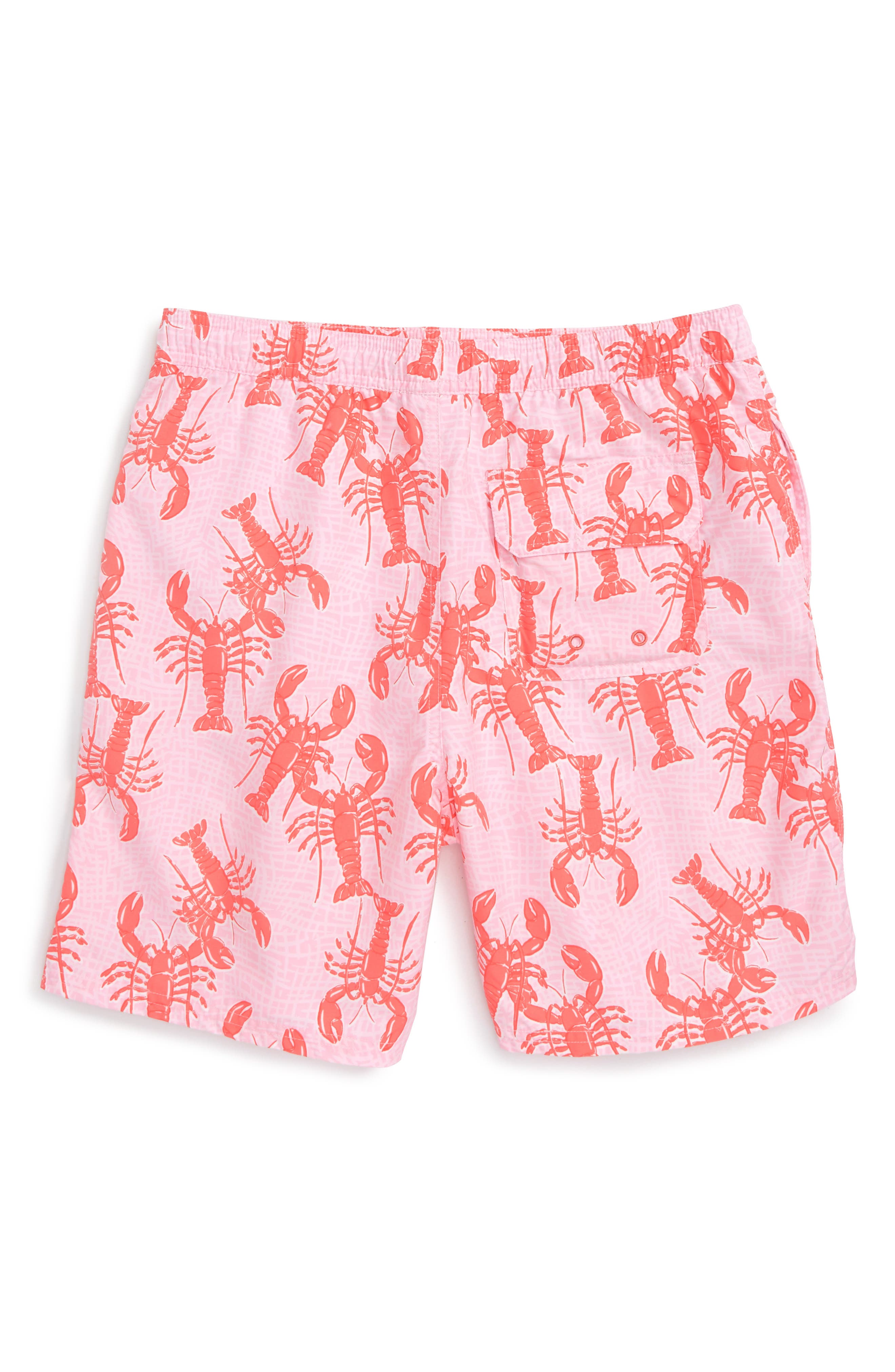 vineyard vines baby boy swim